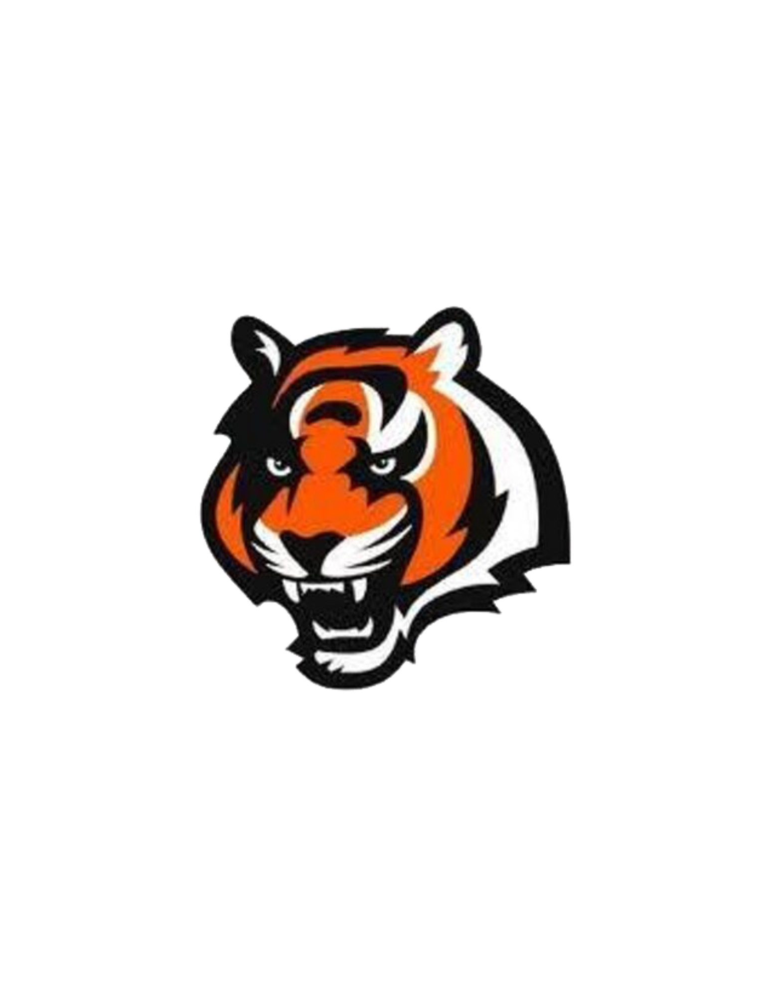 East High School Tigers 